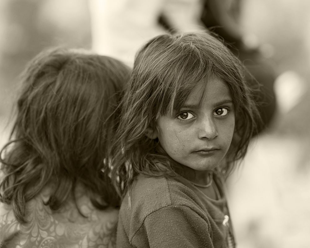 Photograph by  Reza Hazrati