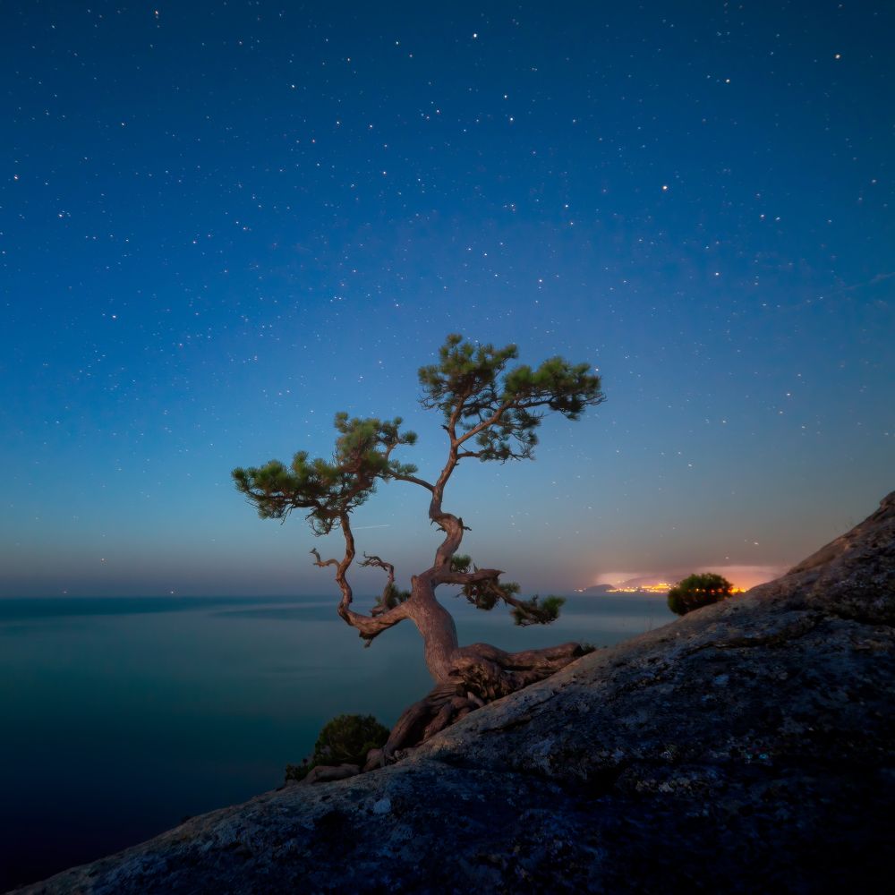 Photograph by Alexander Plekhanov