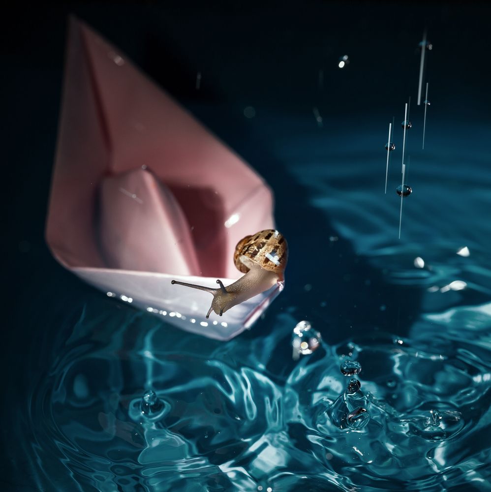 Photograph by Yuliia Nazarova