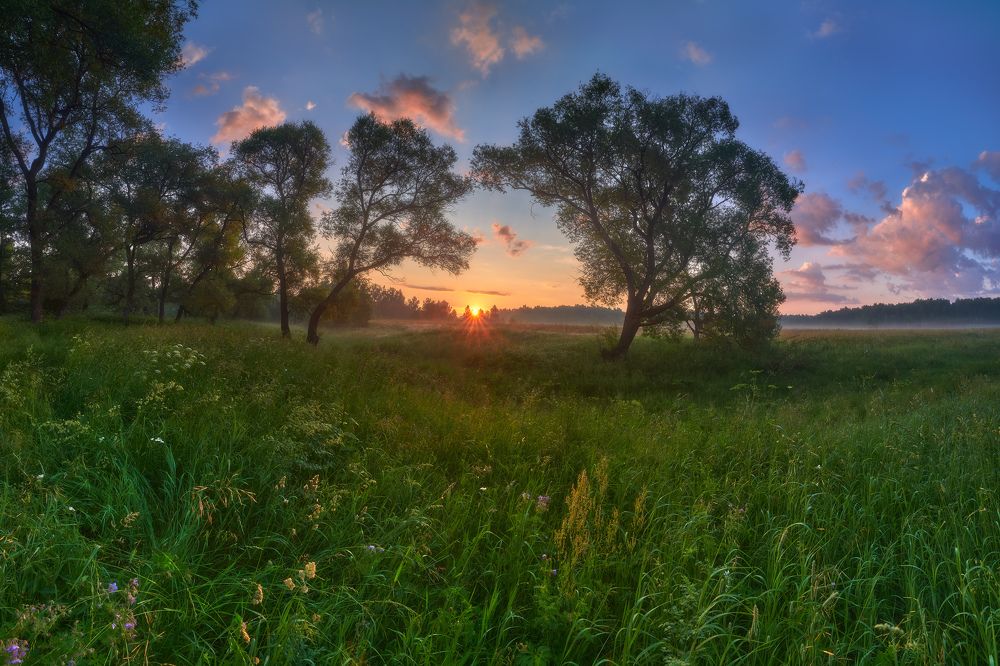 Photograph by Konstantin Voronov