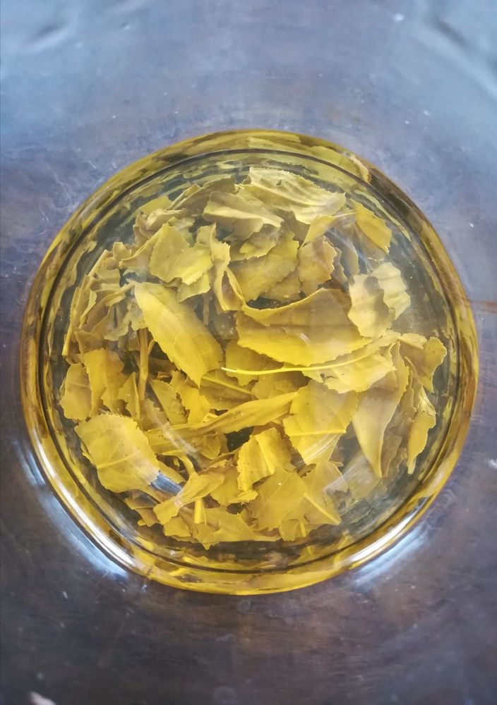 Green tea