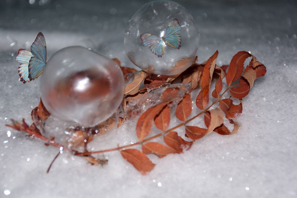 Photograph by Татьяна Дорожко