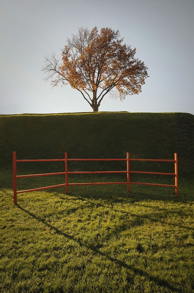 Photograph by Juris Buklovskis