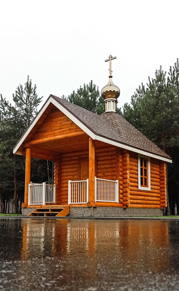 Фотография автора Алёна Подгорная