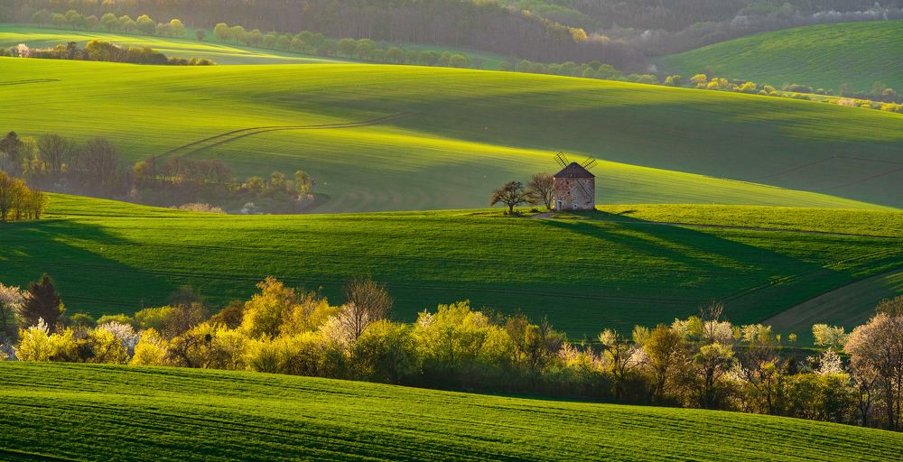 * Уходящий день *