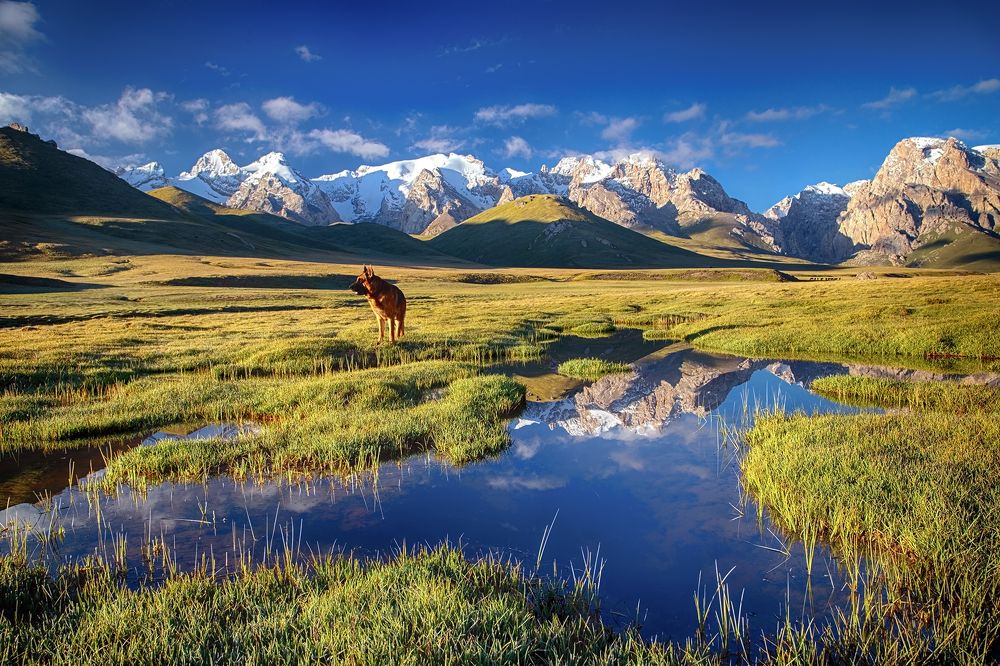 Пробуждение