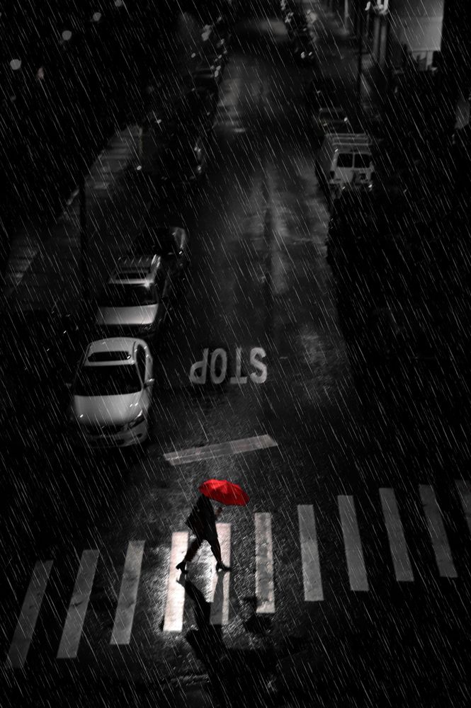 Фотография автора Ibrahim Nabeel