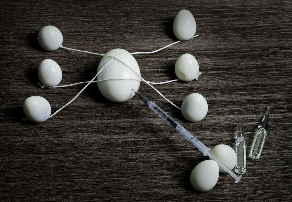 Guliver and Liliputs - vaccination