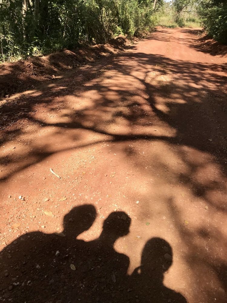 Shadows walking along the path