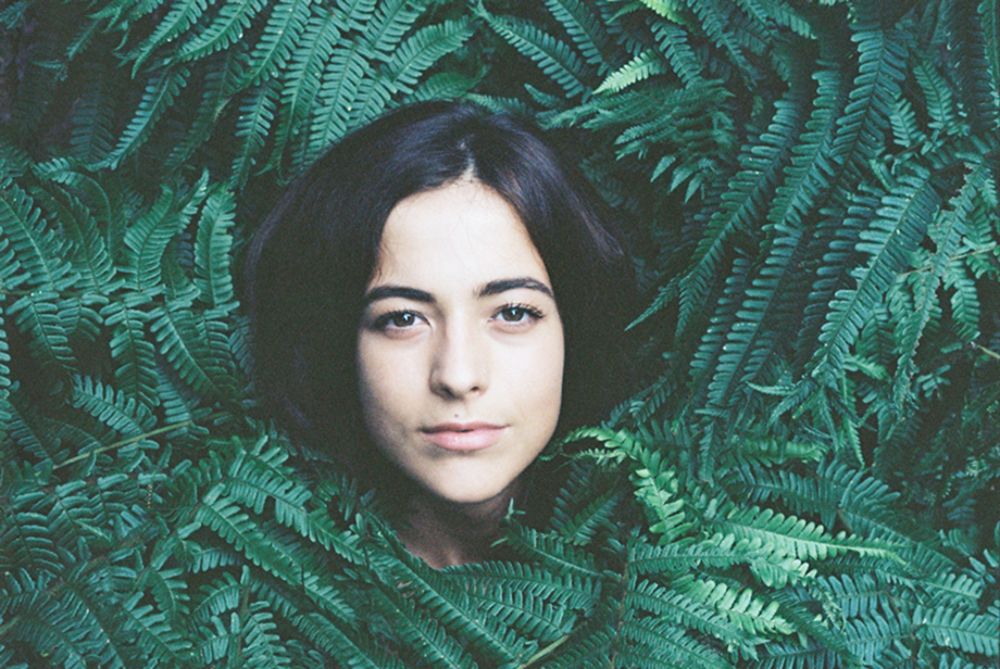 My Fern-Framed Face , slipped under white ,cold lightning.