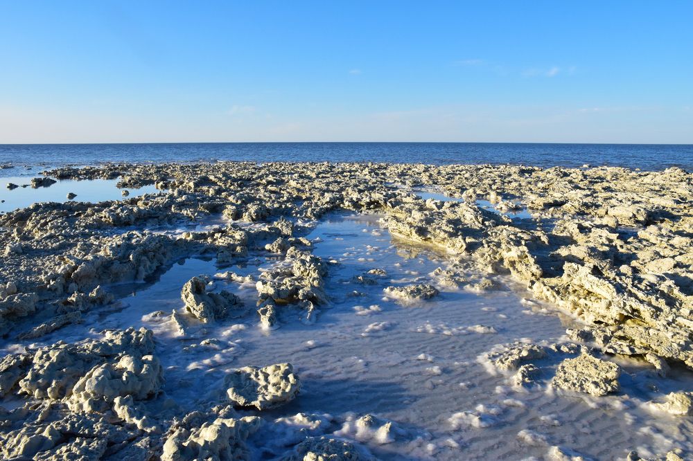 Намывы глауберовой соли в заливе Кара-Богаз-Гол. Каспийское море. Туркменистан.