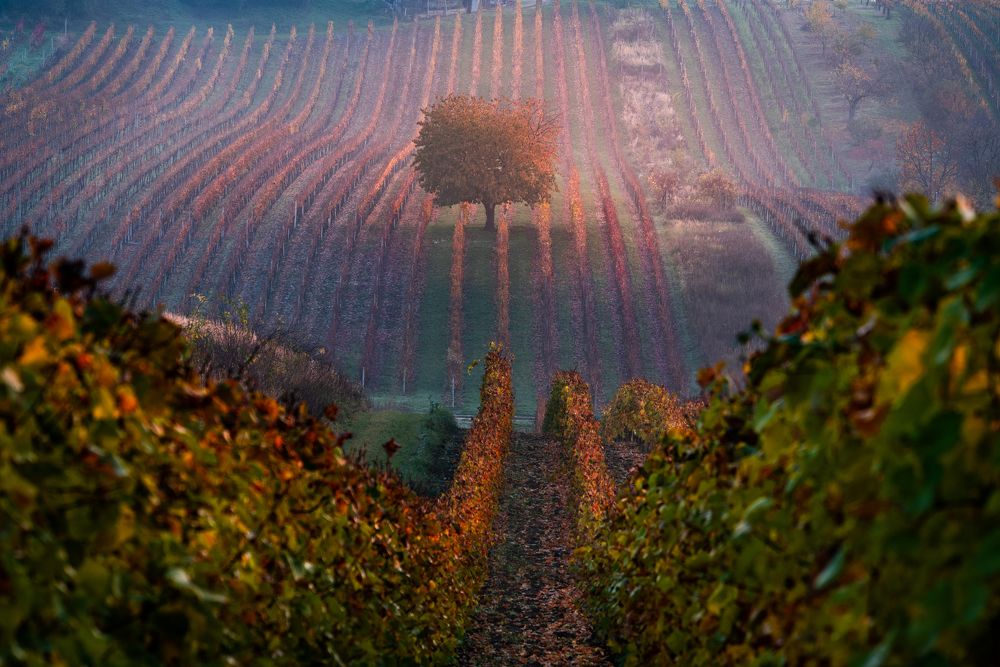 * Осенние краски *