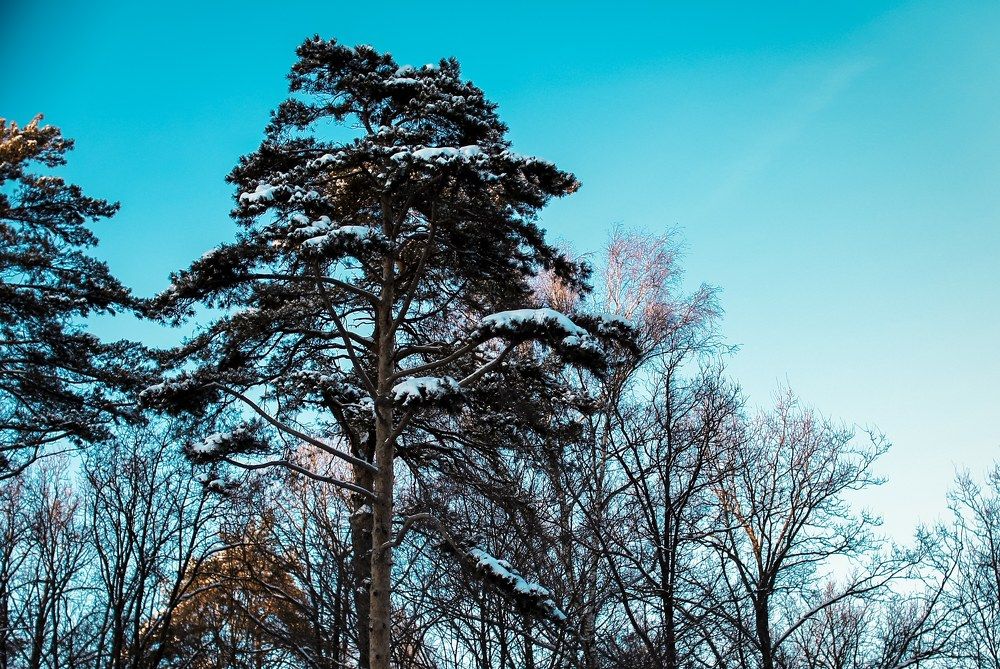 Photograph by Кирилл Кульган