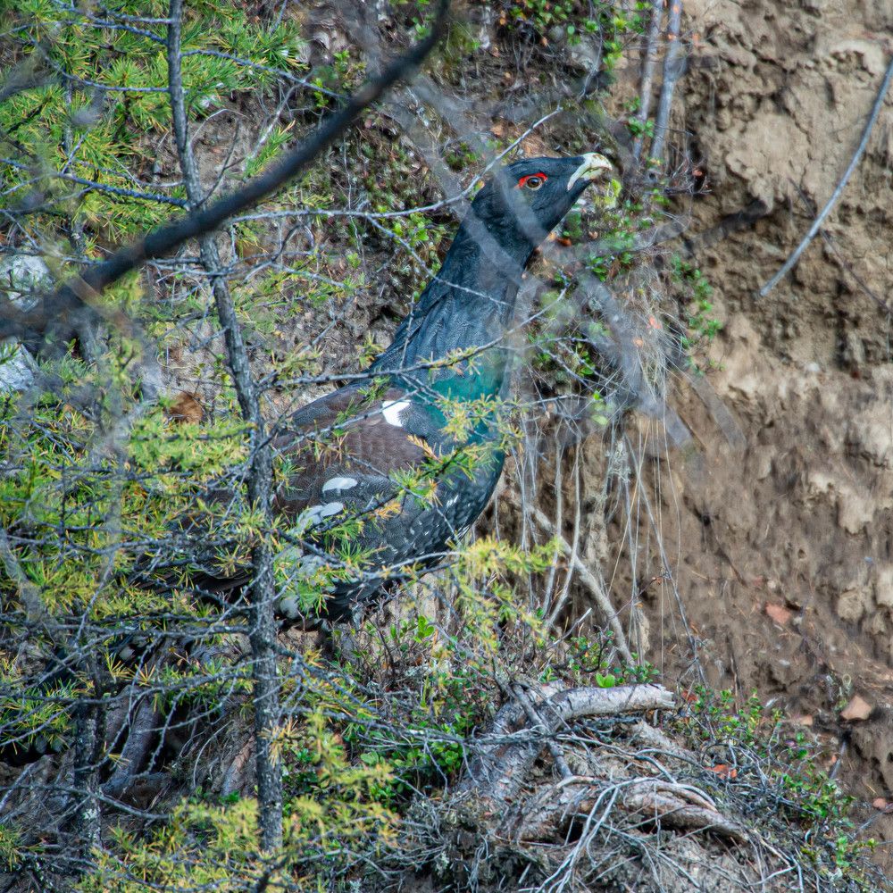 Photograph by Danil Husainov