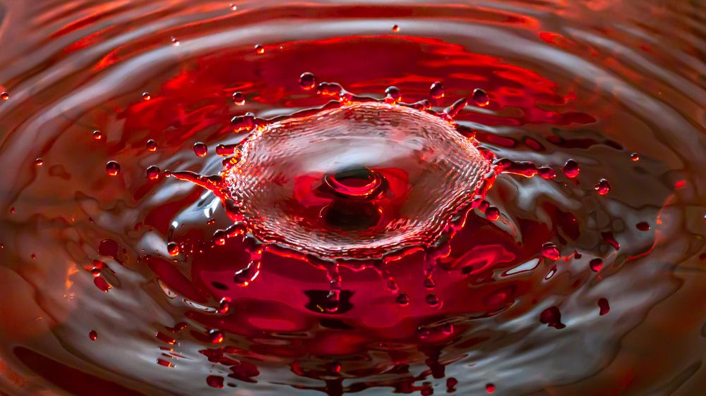 Photograph by Ольга Линк