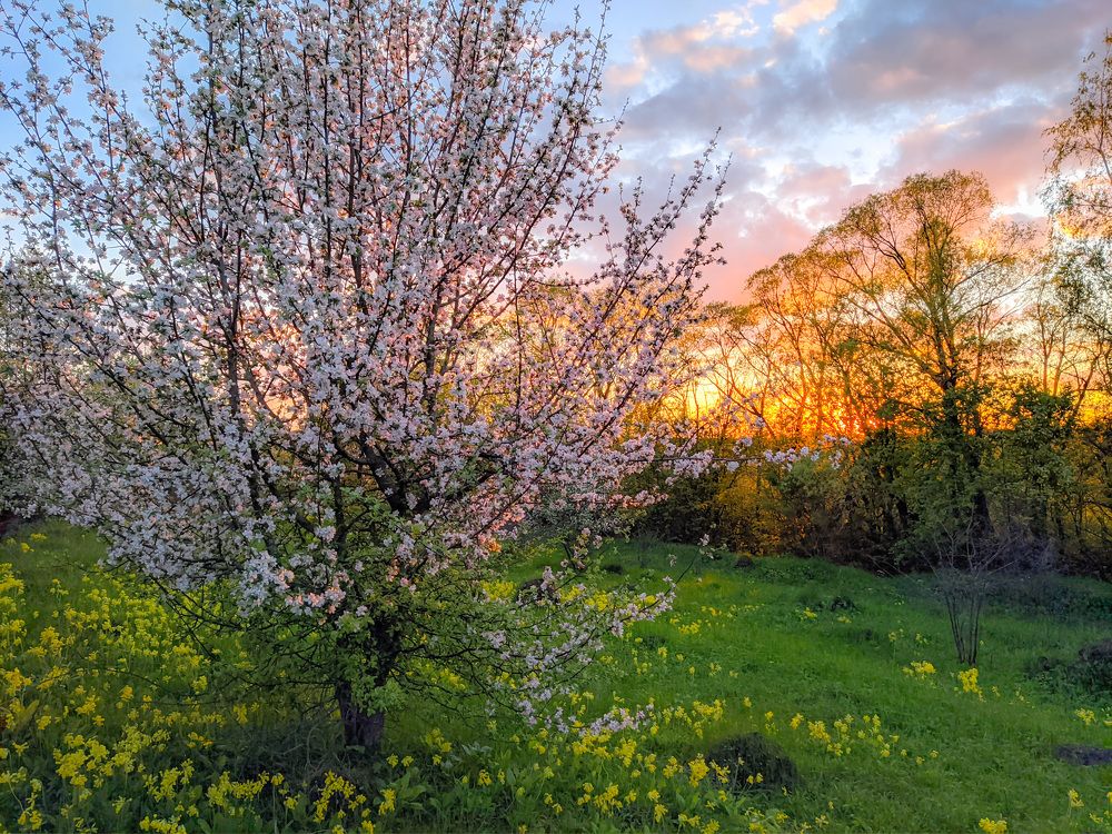 Photograph by Светлана Кондрашова