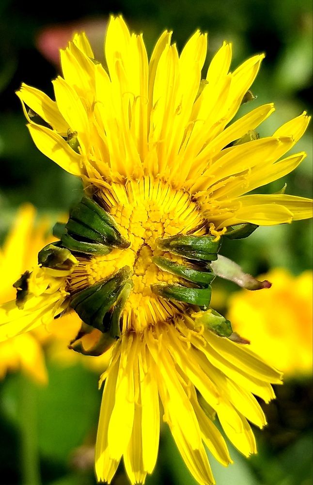 Photograph by Светлана Середина