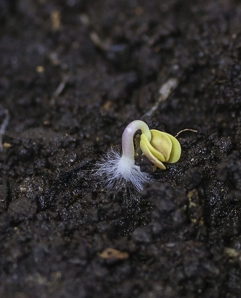 Фотография автора Рамиль Фаттахов