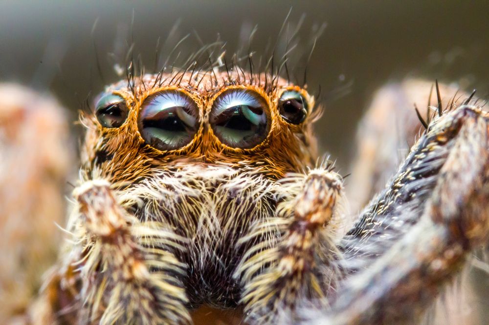 Photograph by Youness Fakoiallah