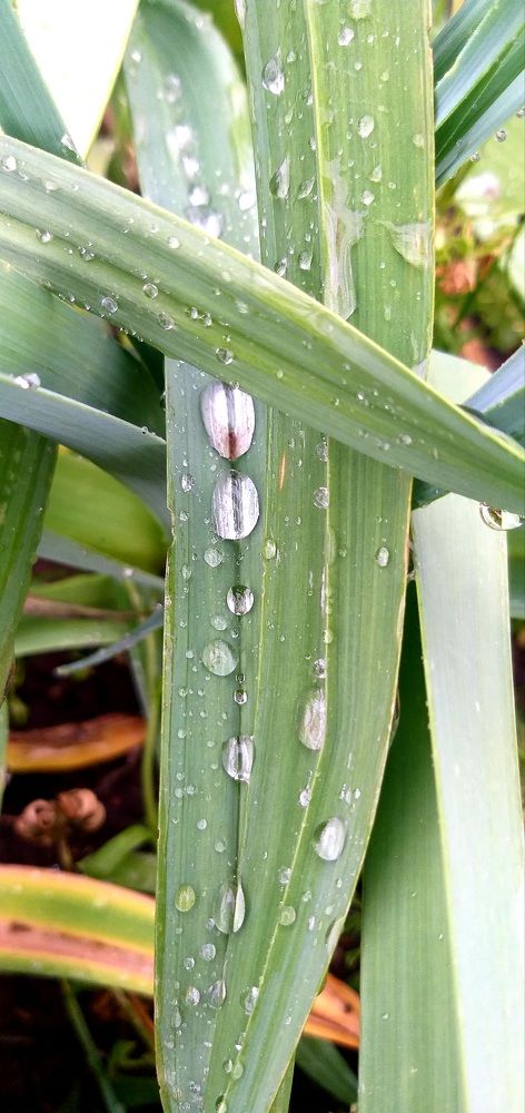 Photograph by Светлана Середина