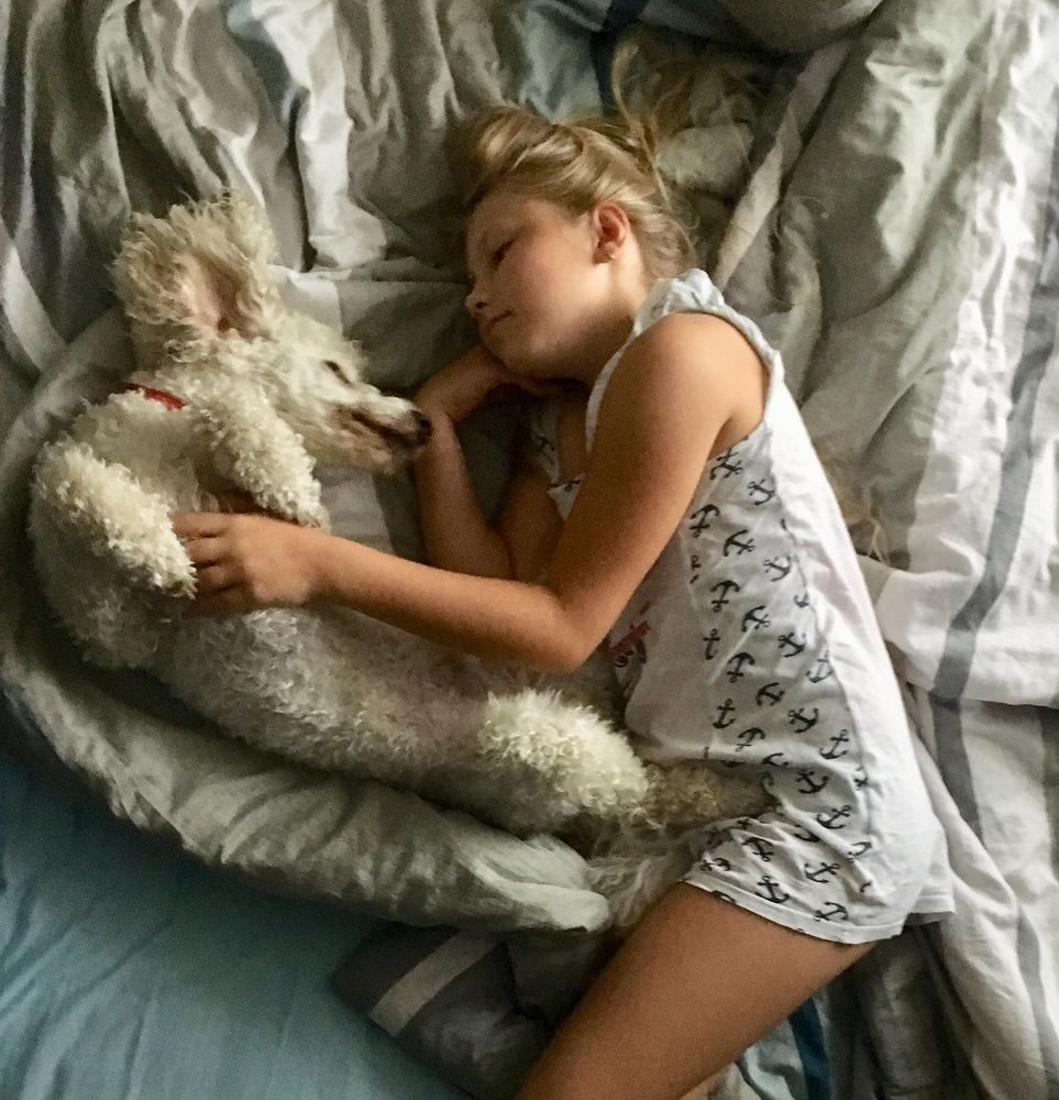 Dreams together