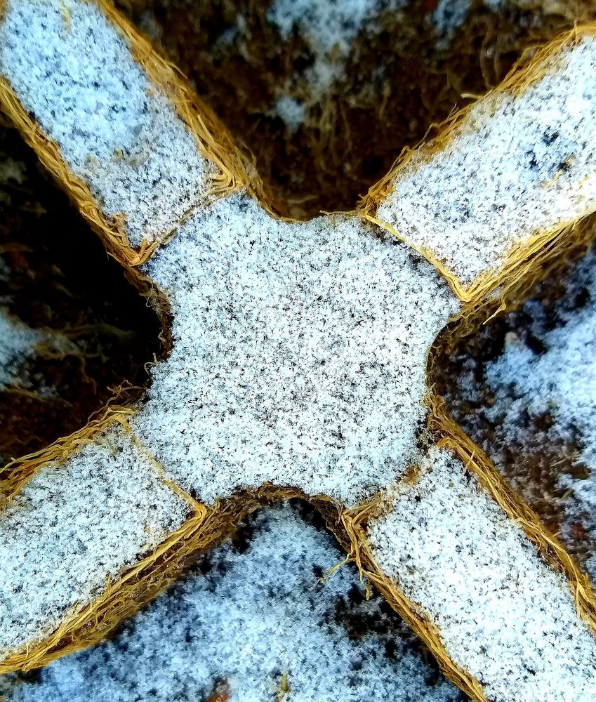 Photograph by Светлана Середина