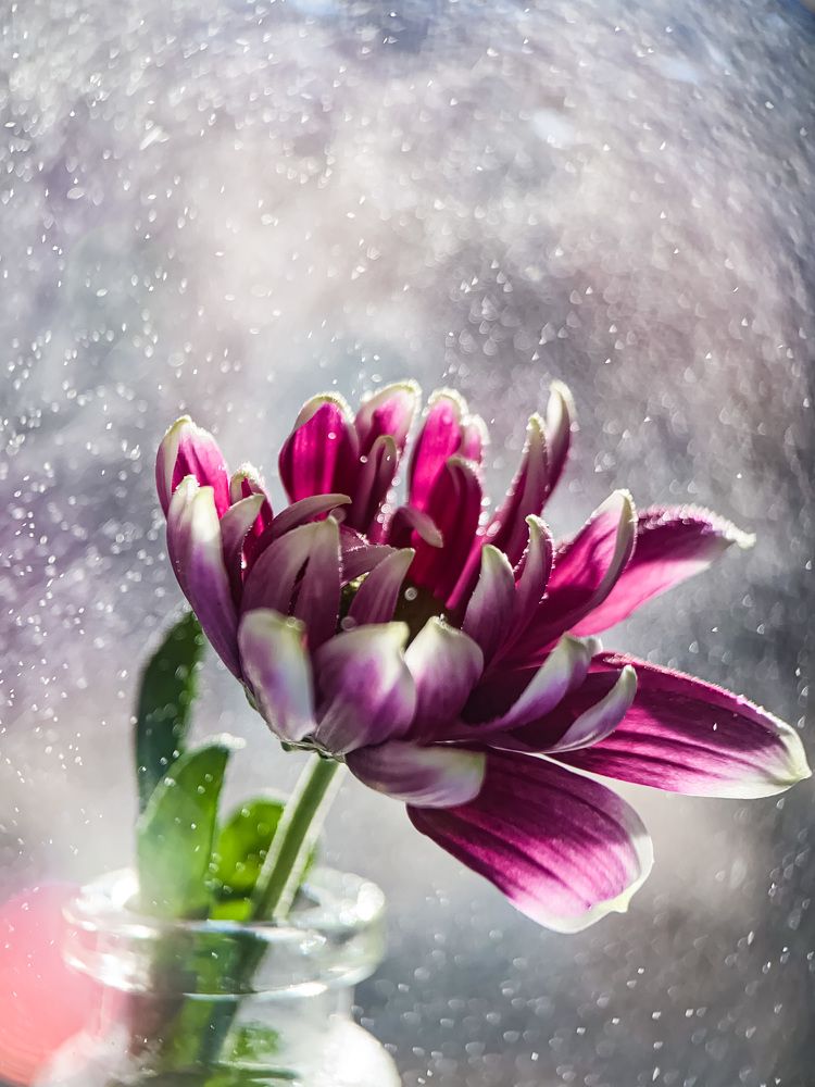 В ожидании чуда