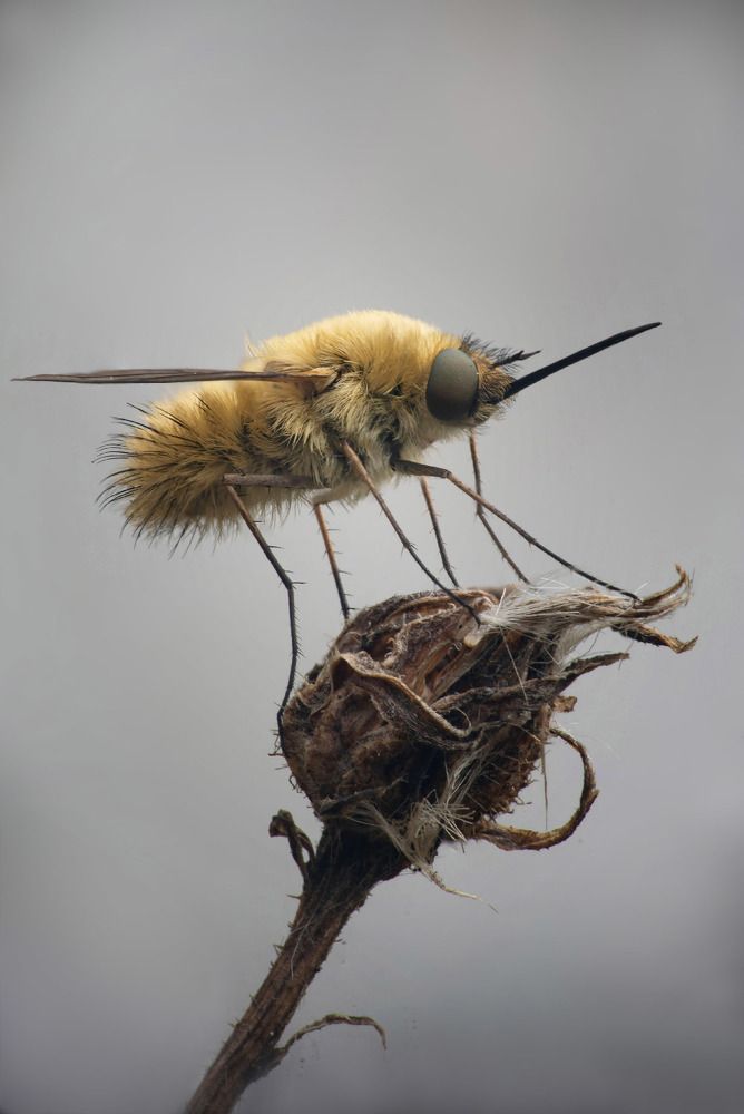 Photograph by Сергей Рубан