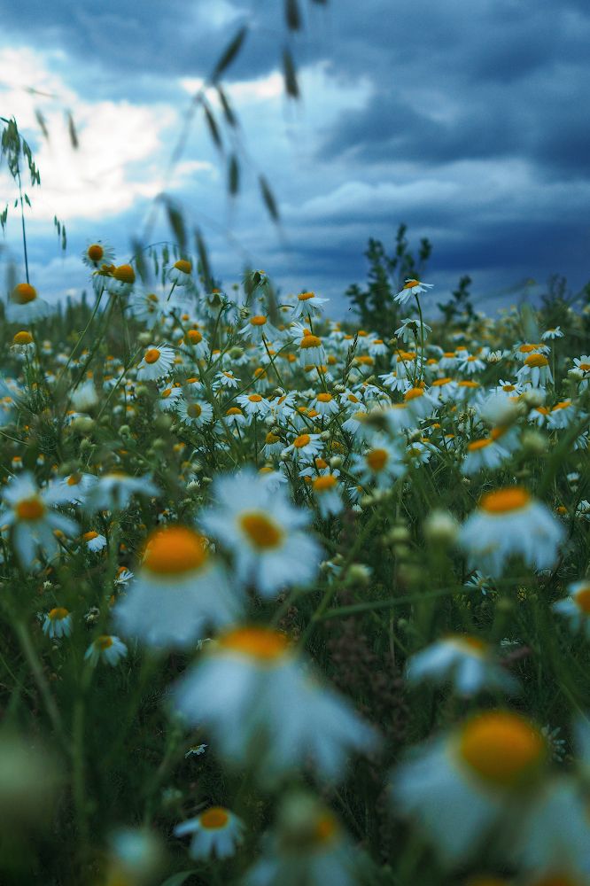 Фотография автора Александр Мартынов
