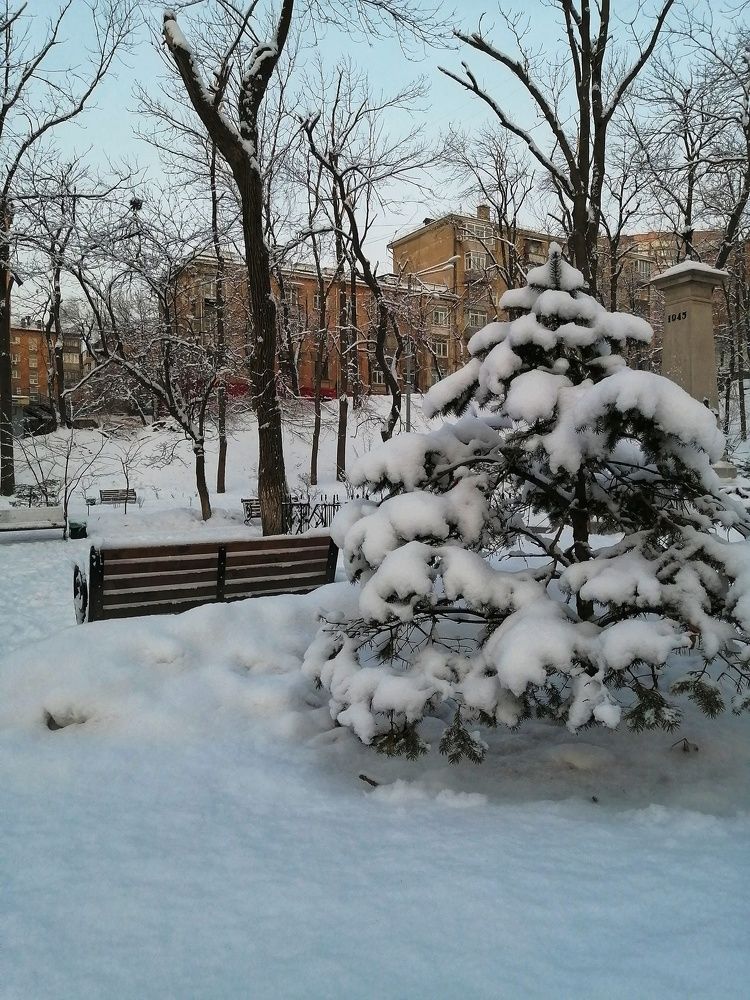 Заснеженный город V
