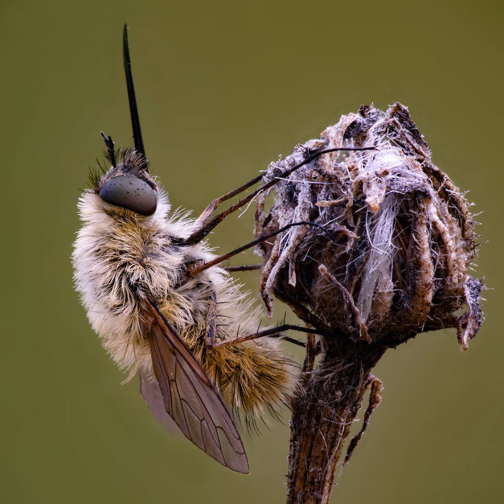 Photograph by Сергей Рубан