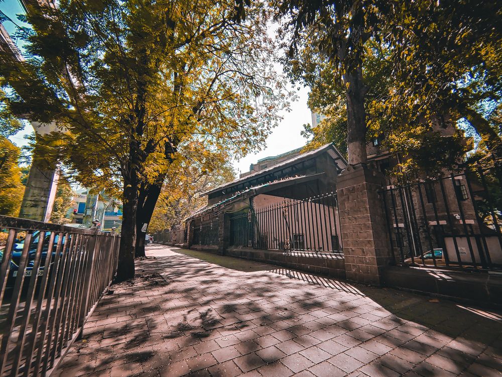 Фотография автора Amit Kuril