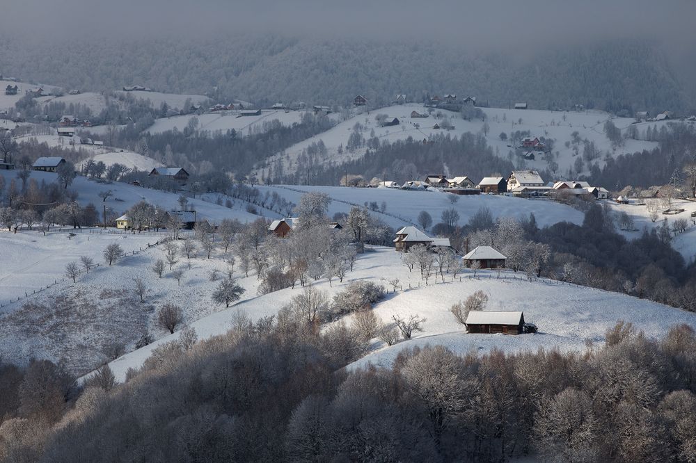 Photograph by Alex Coman