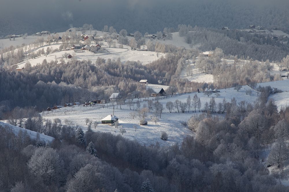 Photograph by Alex Coman