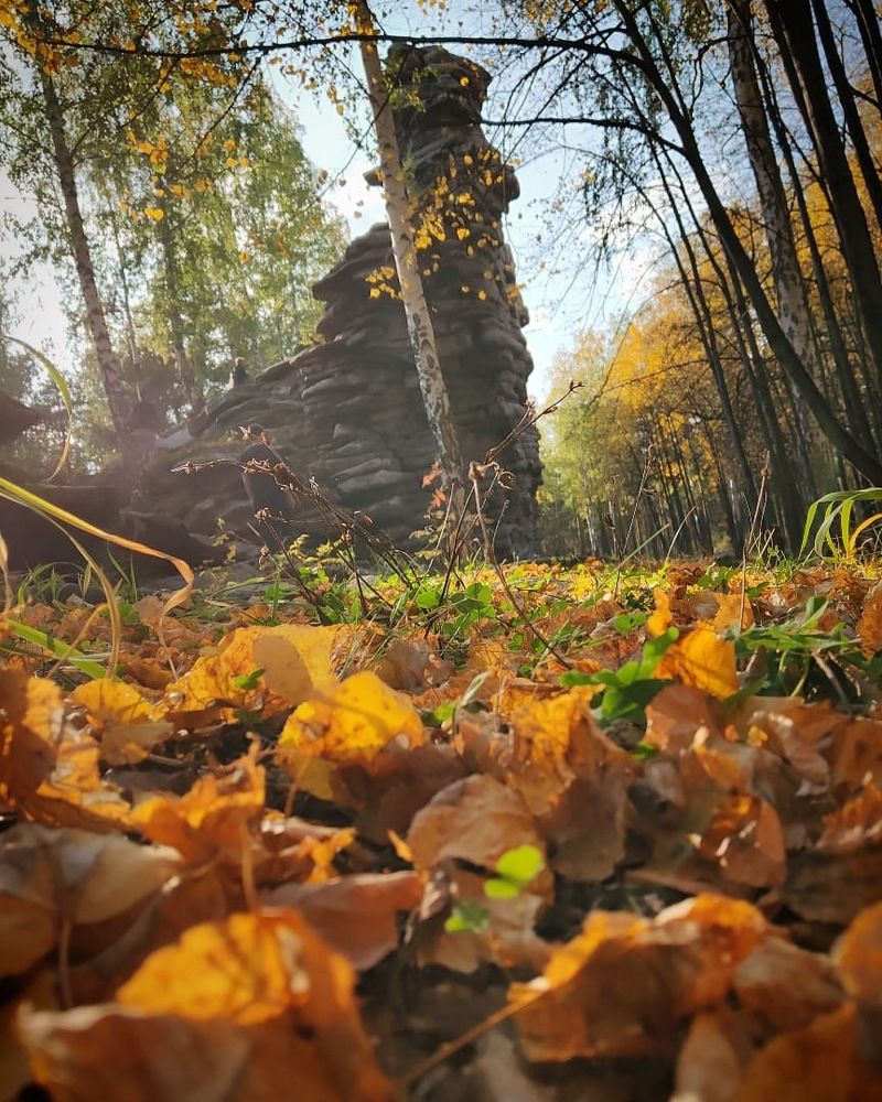 Photograph by Евгения Пржевальская