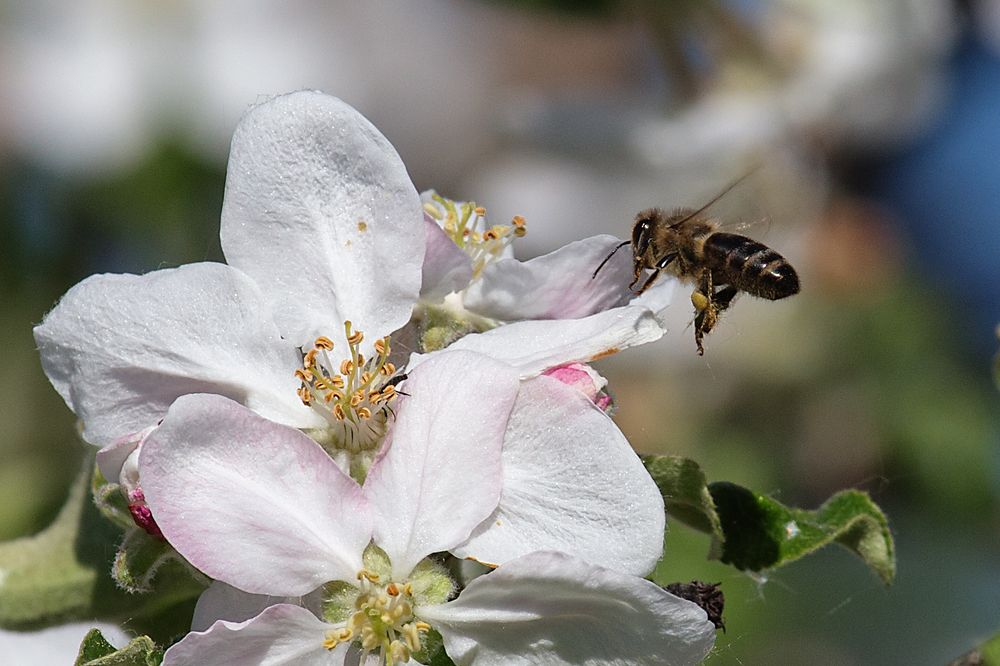 Photograph by Andrey Belov