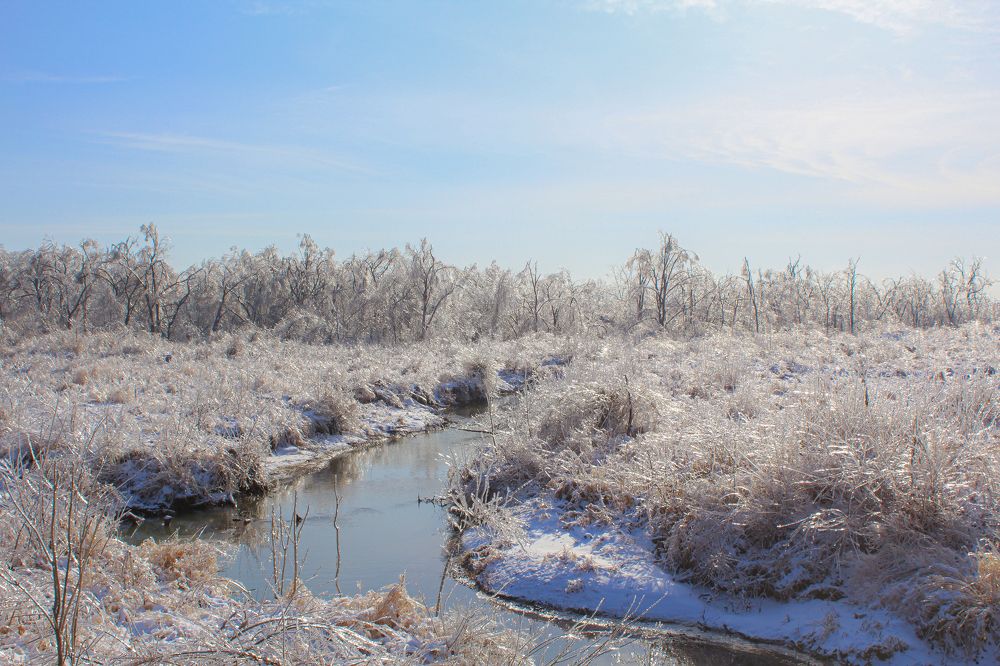 Photograph by Наталья Степченко