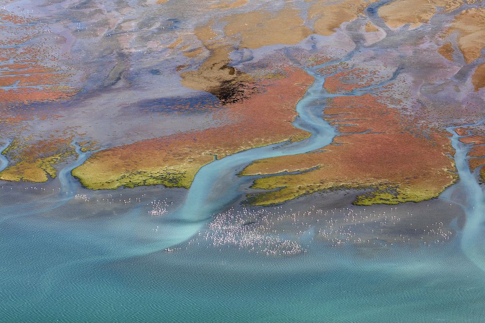 Photograph by Jay Roode