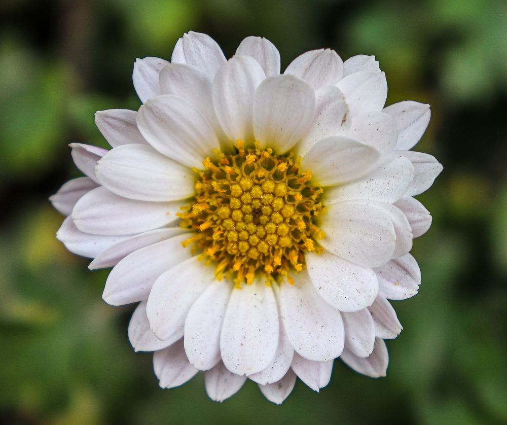 Photograph by mahnaz maleki