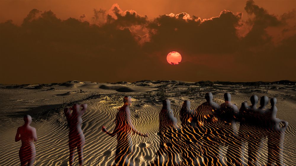 Сотворение жизни