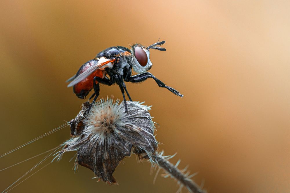 Фотография автора Татьяна Гореславец