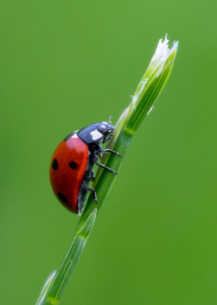 Фотография автора Татьяна Гореславец