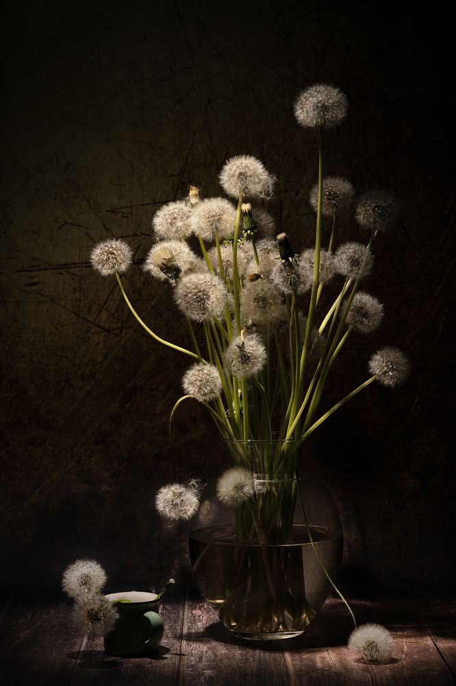 Фотография автора Татьяна Гореславец