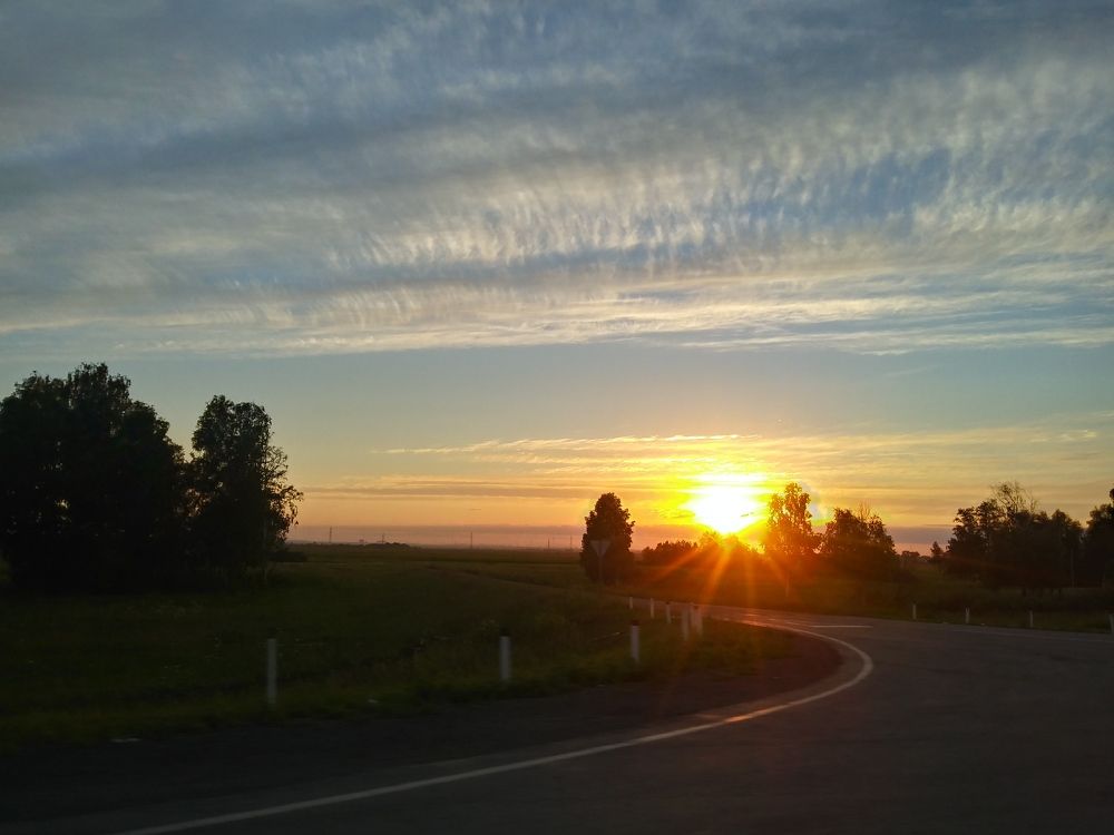 Photo #5620392