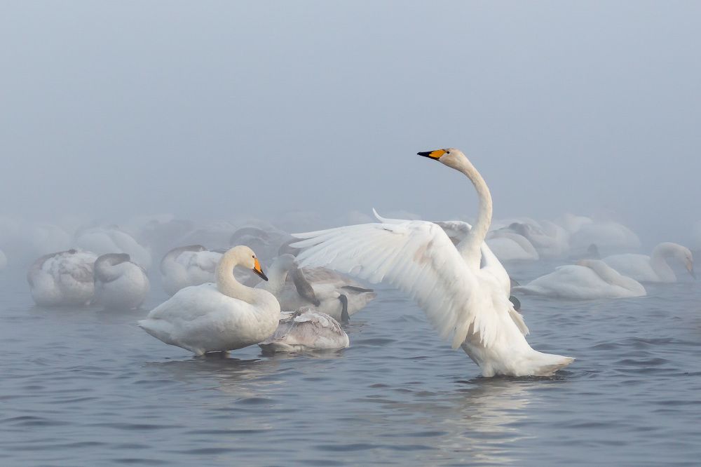 Photograph by Сергей