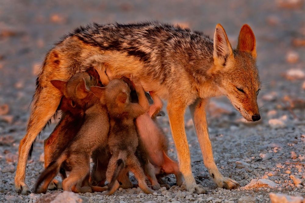 Hard work being a mom of 6.