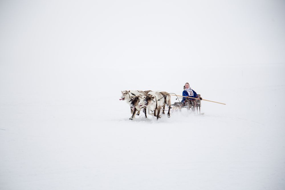 Photograph by Леонид Прядко