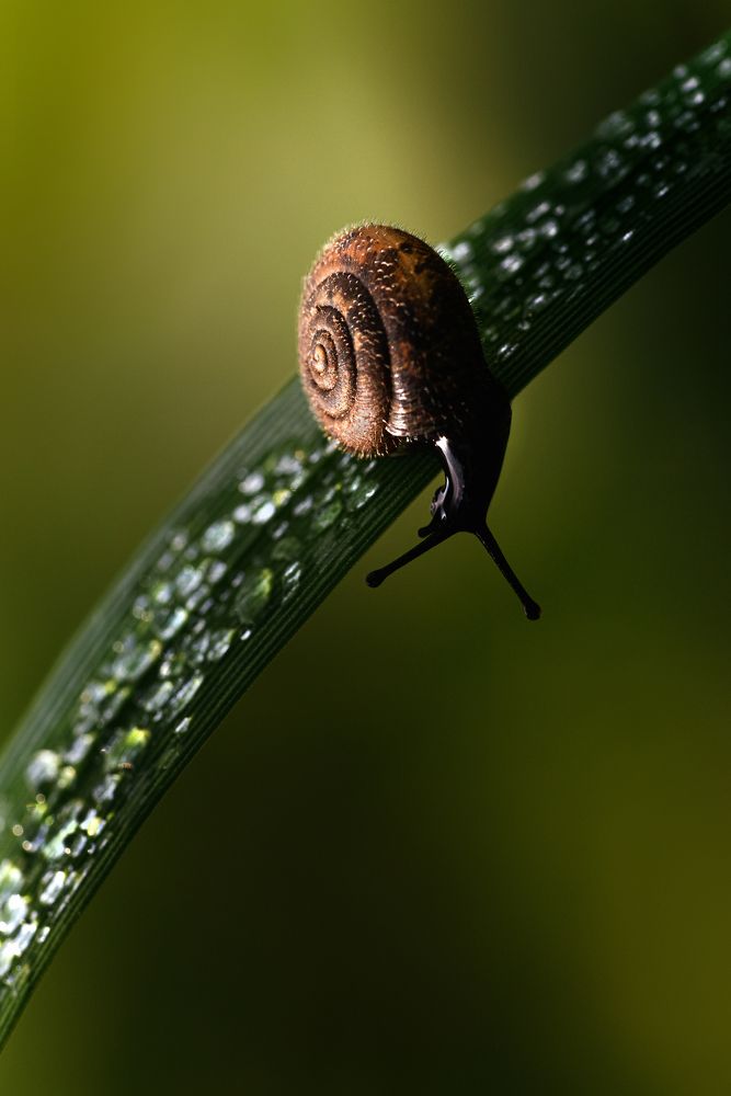Фотография автора Татьяна Гореславец