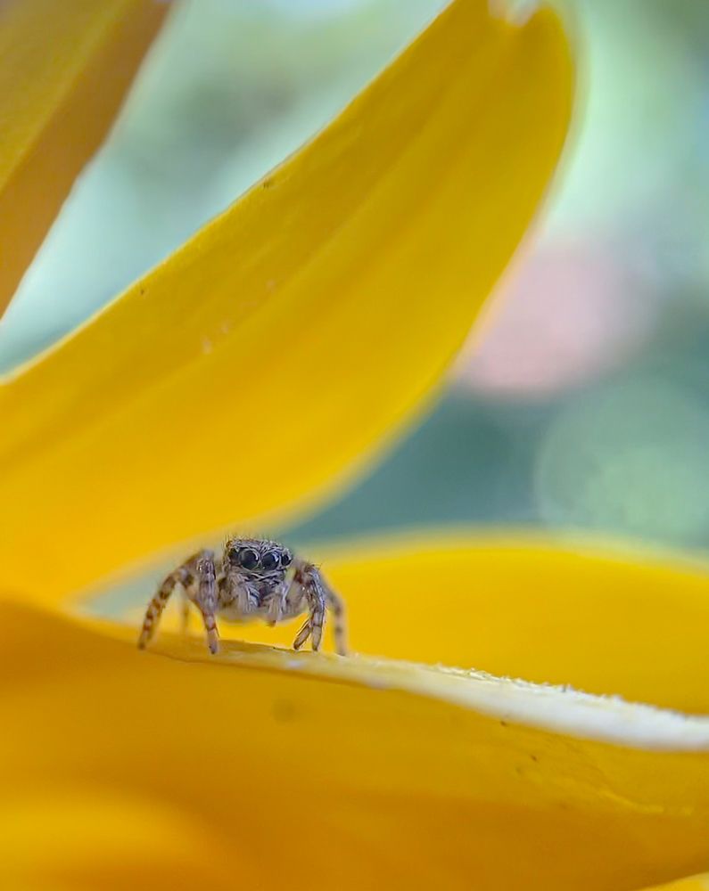 Photograph by Андрей Косяк