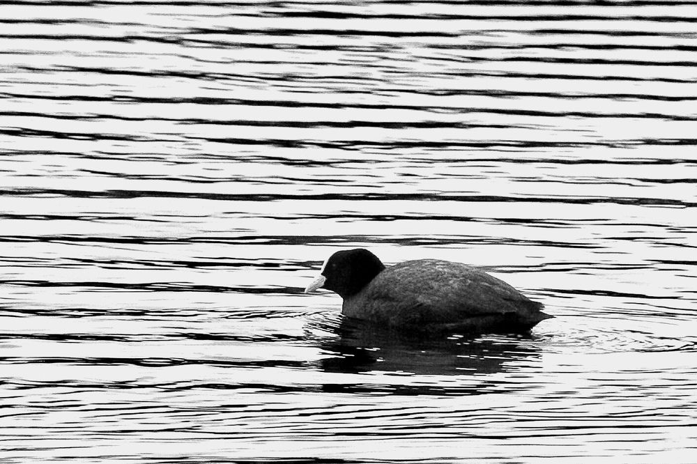 Photograph by Алексей Кроль